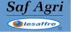 Logo Saf Agri